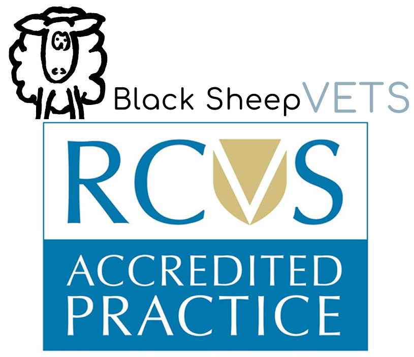 Black Sheep Vets Louth